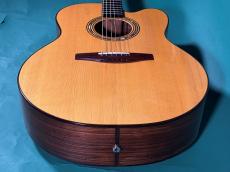 LLOYD BUGGS FOR JACKSON BROWN (NOT FOR SALE)_11
