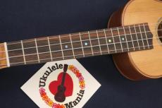 Mahalo MM2 Satin Finish Cedar-top Solid Mahogany Concert Ukulele w/Mike_7