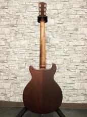 Gibson Les Paul Special Tribute DC Worn Brown 2019_11