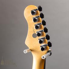 Harmony Silhouette w/Bigsby_8