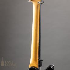 Harmony Silhouette w/Bigsby_9