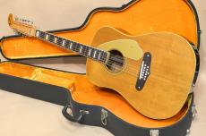 Fender Shenandoah　1971年製