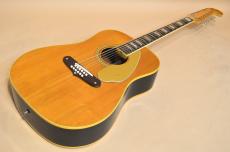 Fender Shenandoah　1971年製_2