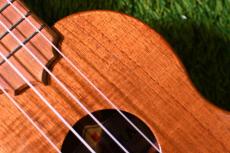 KoAloha KSM-00 Soprano【USED/1999年】_10