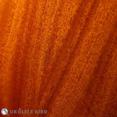 aNueNue aNN-UC110_10