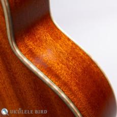 aNueNue aNN-UC110_11