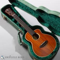 aNueNue aNN-UC110_13