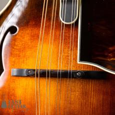 Iwashita Mandolins&Guitars F-5_4