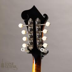 Iwashita Mandolins&Guitars F-5_7