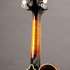 Iwashita Mandolins&Guitars F-5_8