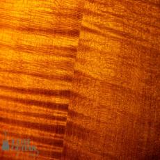Iwashita Mandolins&Guitars F-5_10