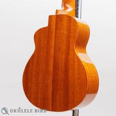 aNueNue aNN-US100_10