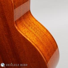 aNueNue aNN-US100_11