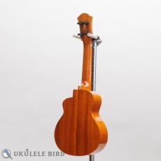 aNueNue aNN-US100_12