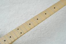 FUJIGEN NTE100MAHT -White Blonde- WB #B260160【3.10kg】【日本製】_8
