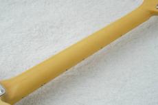 FUJIGEN NTE100MAH -Off White Blonde- OWB #A240816【3.48kg】【日本製】_10