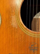 Takamine NPT-010 LH　【90年初頭にポールマッカートニーが使用した日本製タカミネのジャンボサイズ】_5