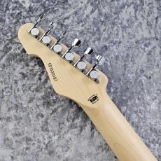 Edwards E-SN-150FR/QM -Aqua Marin-_9