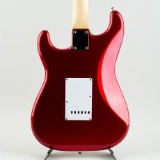 FUJIGEN BCST100RBD-CAR_2