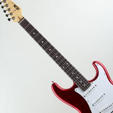 FUJIGEN BCST100RBD-CAR_5