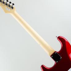 FUJIGEN BCST100RBD-CAR_6