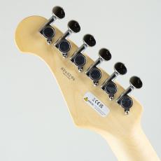 FUJIGEN BCST100RBD-CAR_8