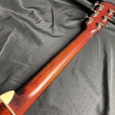 Eastman E10-OOSS_5