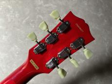 Tokai ALS98F【現物画像・4・55kg】_11