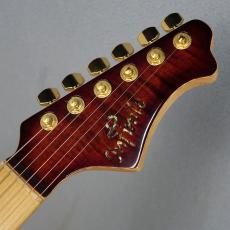 infinite Trad Fullsize T Custom Fire Brown Burst_3