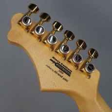 infinite Trad Fullsize T Custom Fire Brown Burst_4