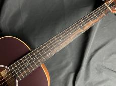 Taylor GS Mini-e VSB_5