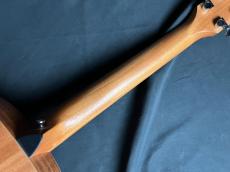 Taylor GS Mini-e VSB_9