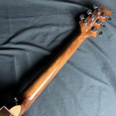 Paul Reed Smith [PRS] SE Angeles AE60_7