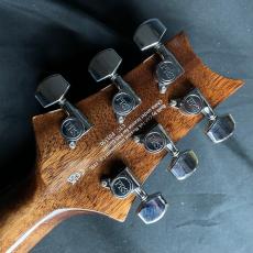 Paul Reed Smith [PRS] SE Angeles AE60_8