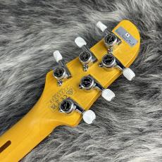 Ibanez Talman J-LINE TM730IV_8