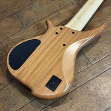 TUNE TWB-6 EX HYB-III Buckeye Burl Top Custom Pickups_7