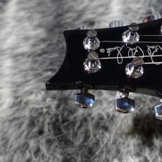 Paul Reed Smith [PRS] Singlecut Trem 10Top Emerald Green 2004_9