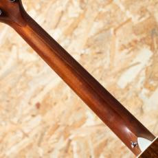 Taylor 214ce CF DLX SB 2019_7