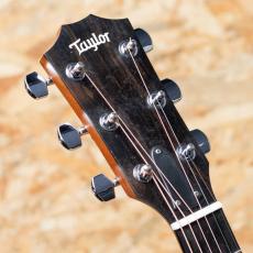 Taylor 214ce CF DLX SB 2019_8