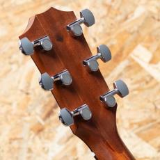 Taylor 214ce CF DLX SB 2019_9