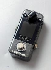 tc electronic DITTO+ LOOPER
