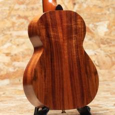 Kamaka HF-2 Concert 2023_2