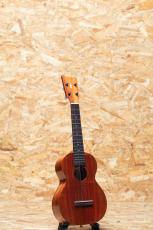 Kamaka HF-2 Concert 2023_3