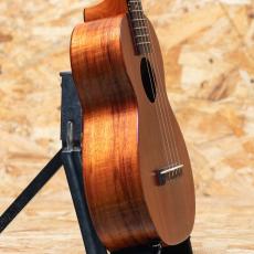 Kamaka HF-2 Concert 2023_4