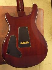 Paul Reed Smith [PRS] CUSTOM24 10TOP (2009)_4