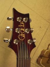 Paul Reed Smith [PRS] CUSTOM24 10TOP (2009)_5