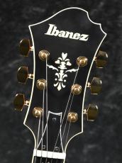 Ibanez PM3C -NAL(Natural Amber Low Gloss)- パットメセニーシグネイチャー《フルアコ》_5