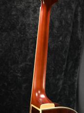 Ibanez PM3C -NAL(Natural Amber Low Gloss)- パットメセニーシグネイチャー《フルアコ》_9