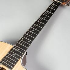 Taylor 214ce RW DLX_6