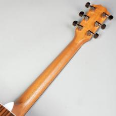 Taylor 214ce RW DLX_7